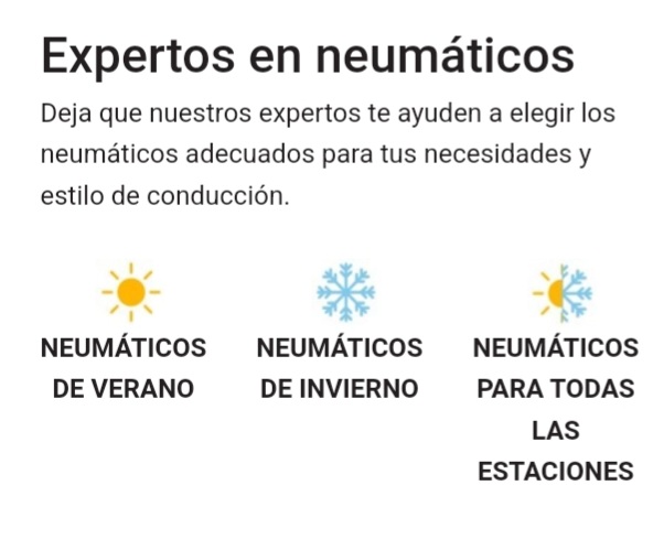 Expertos en neumáticos